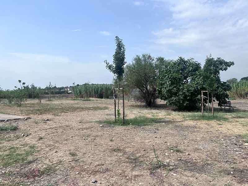 Valet Travel Easy - Aeroporto Cagliari Posti auto scoperti Valet Travel Easy - Aeroporto Cagliari