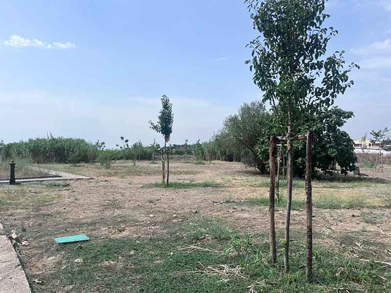 Valet Travel Easy - Aeroporto Cagliari Piazzale posti auto Valet Travel Easy - Aeroporto Cagliari