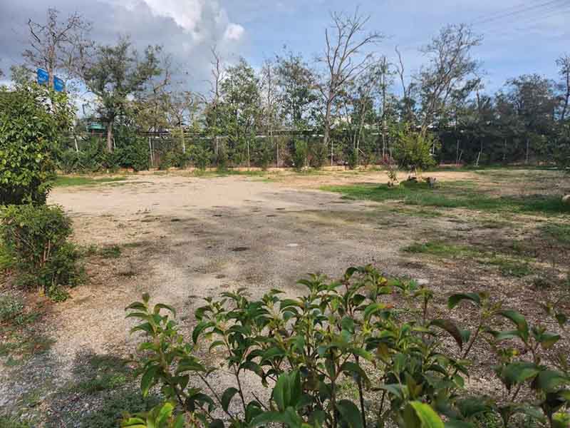 Valet Travel Easy - Aeroporto Cagliari Parcheggi scoperti Valet Travel Easy - Aeroporto Cagliari