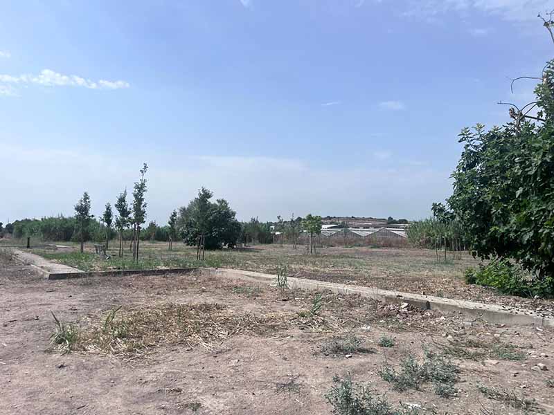 Valet Travel Easy - Aeroporto Cagliari Piazzale parcheggio Valet Travel Easy - Aeroporto Cagliari